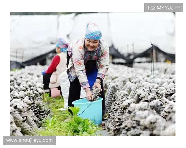 乐鱼官网登录入口手机版下载适配多设备，支持手机和平板多平台登录